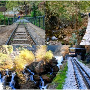 Κυριακή 30/11 ΚΑΛΑΒΡΥΤΑ ΚΑΙ  ΒΟΛΤΑ ΜΕ ΤΟΝ ΟΔΟΝΤΩΤΟ